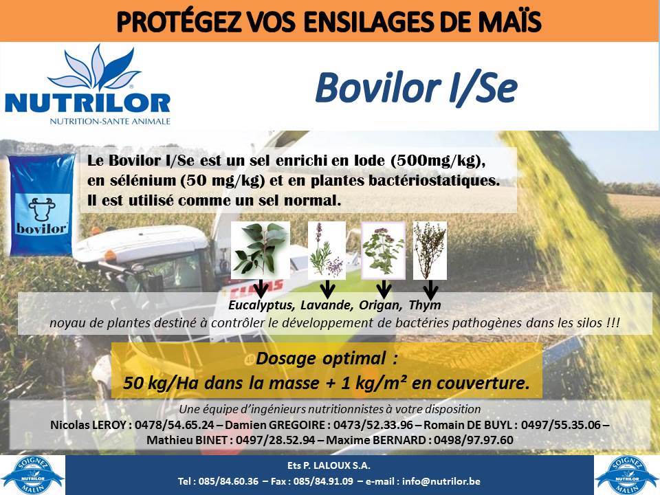 Bovilor I/Se Nutrilor conservation ensilage maïs