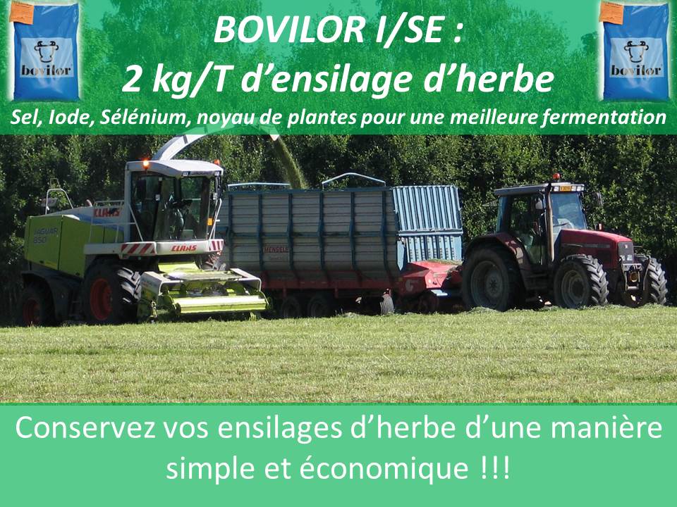 Bovilor I Se Nutrilor